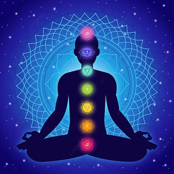 whatsapp image 2025 09 28 at 2.36.43 pm