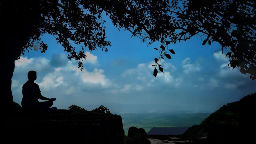 project portfolio (1)